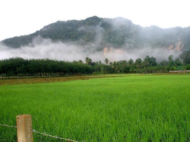 Naris Phuview Resort Satun Exterior foto